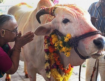 Linchan hasta la muerte a un joven por presuntamente matar una vaca en India