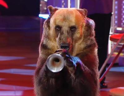 El oso trompetista de '¡Vaya fauna!', de los animales más explotados en España