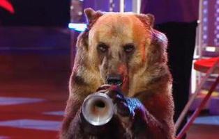 El oso trompetista de '¡Vaya fauna!', de los animales más explotados en España