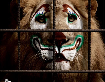 Cataluña, a un paso de prohibir el uso de animales salvajes en los circos