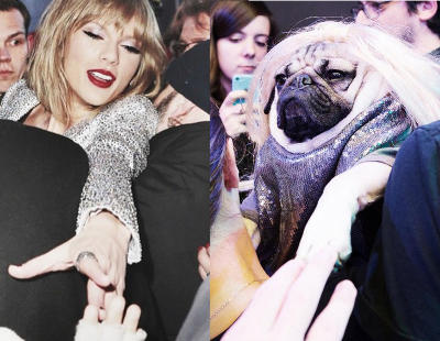 Recrean fotos del Instagram de Taylor Swift con Doug the Pug, un perro también muy hipster