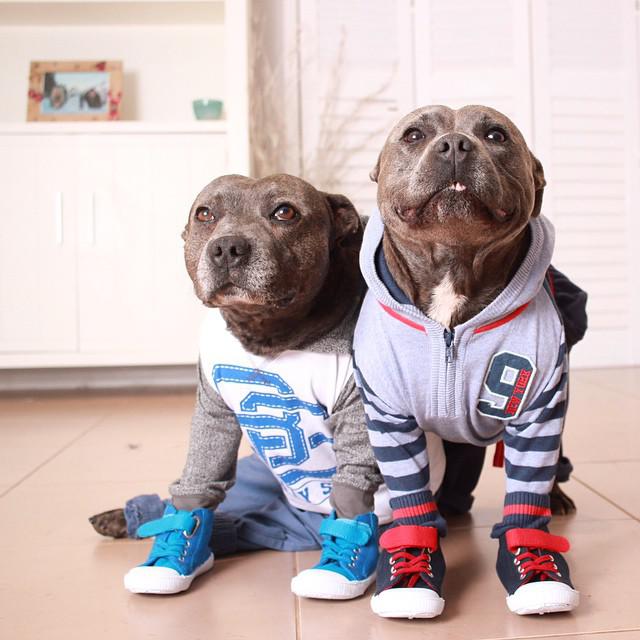 Preparados para el running