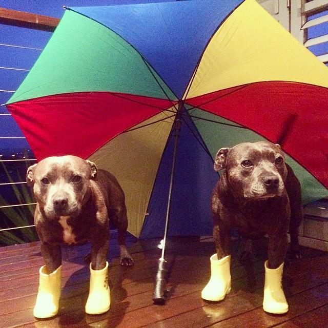 Preparados para un día de lluvia