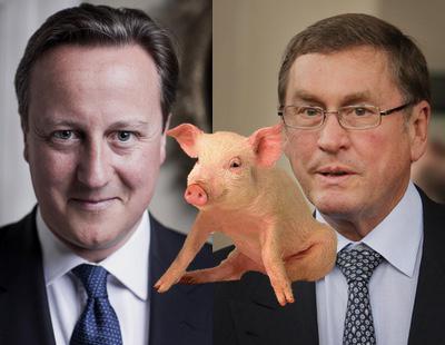 El escándalo sexual de David Cameron y el cerdo, paso a paso