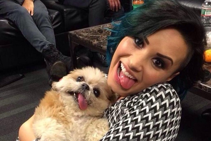 Demi Lovato y Marnie the dog