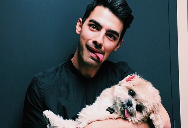 Joe Jonas y Marnie the dog