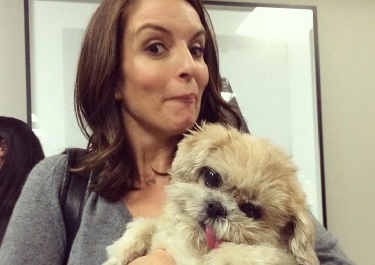 Tina Fey y Marnie the dog