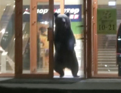 Un oso salvaje se cuela en un centro comercial de Rusia