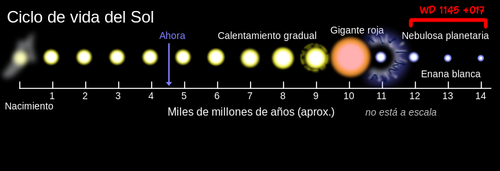 Ciclo de una estrella como el Sol