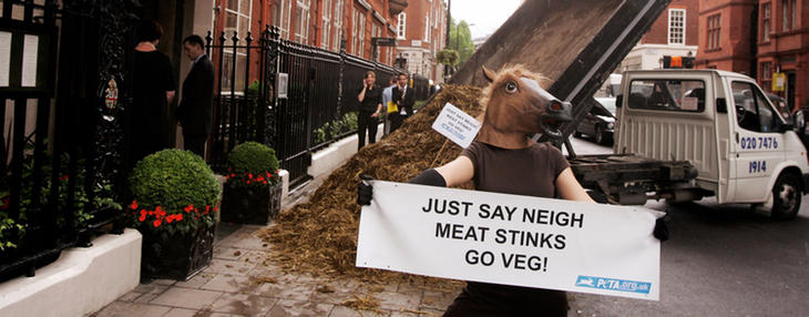 Protesta contra el consumo de carne de caballo frente a un local de Gordon Ramsay