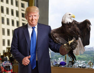 Un águila patriota llamada Tío Sam ataca a Donald Trump