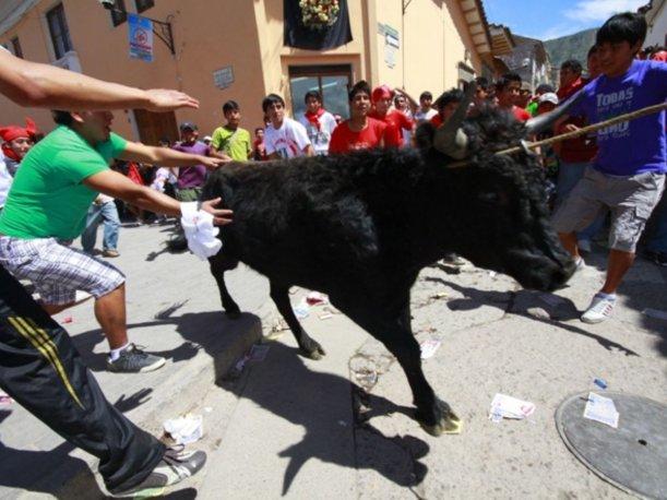 No mostrados en esta foto; botellazos en la cabeza del animal, lanzas de pica, gente con corazón