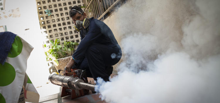 Hay lugares, como Venezuela, donde han fumagado las casas para matar a los mosquitos