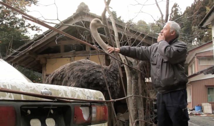 Naoto Matsumara, único habitante en un rango de 20 km de la central nuclear