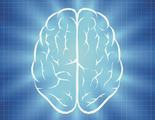 6 claves del cerebro que te ayudarán a sentirte más listo