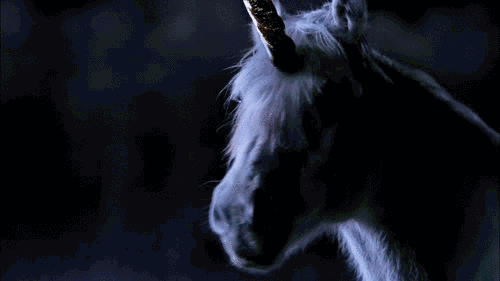 Featured image of post Imajenes De Unicornios Reales Ver m s ideas sobre imagenes de unicornios reales imagenes de unicornios unicornios reales