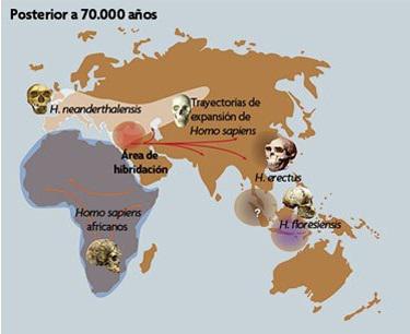 Hibridación del <em>Homo sapiens</em>