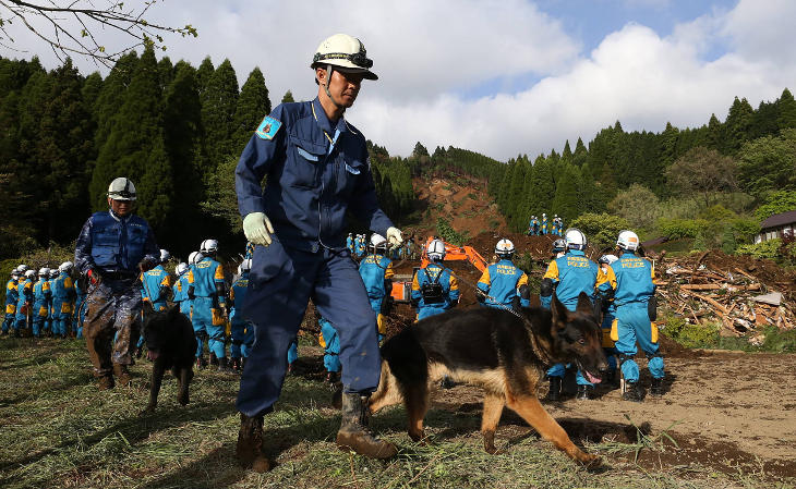 Perro de rescate en Japón