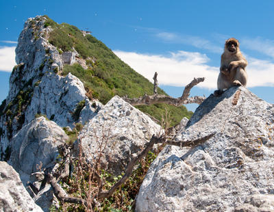 ¡Gibraltar español! Se reabre la pugna con Reino Unido por el peñón de cara al Brexit