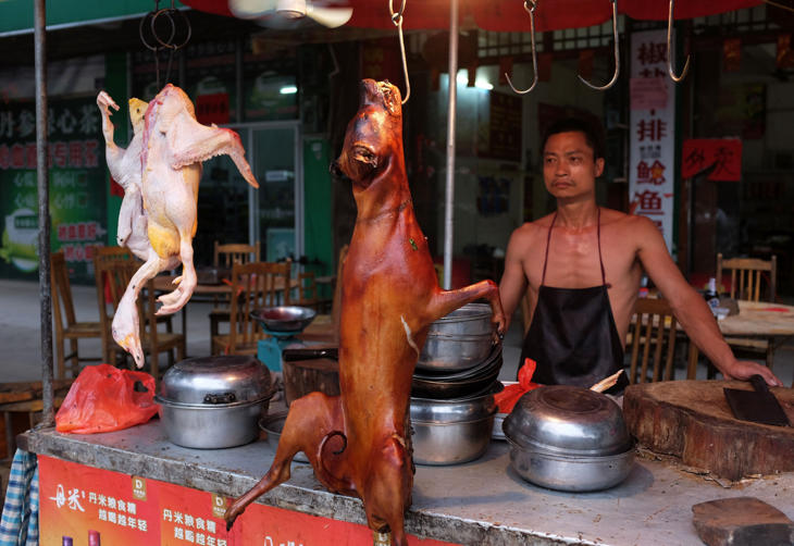 Vendedor de carne de perro en China