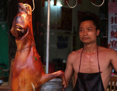 Crece la oposición en China contra el festival de carne de perro más grande del mundo