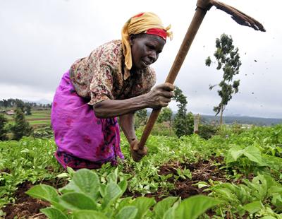 África tiene una técnica agrícola de más de 7 siglos que planta cara al cambio climático