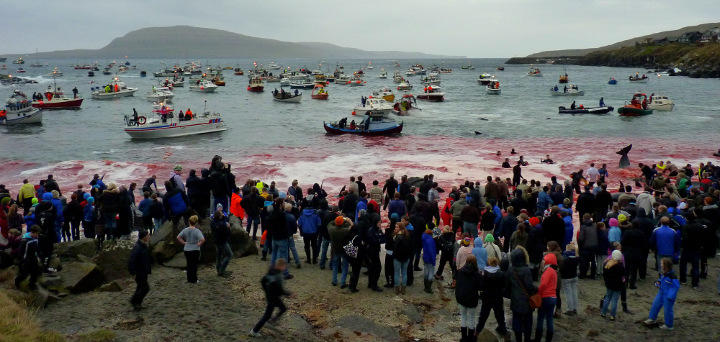 Las Islas Feroe se sitúan al norte del Océano Atlántico