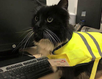 Ascienden a una gata en una estación de tren por hacer bien su trabajo