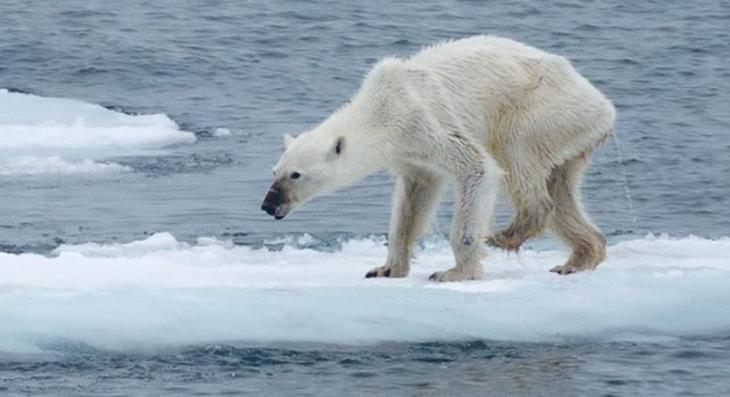 Las consecuencias atroces del cambio climático ya tardarán generaciones en solucionarse