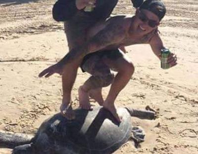 Facebook se moviliza para dar con los dos hombres que hicieron surf sobre una tortuga