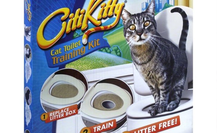 CitiKitty enseña a las mascotas a ir al baño del mismo modo que los humanos