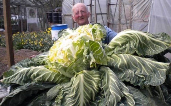 El propietario de la coliflor posa orgulloso con ella