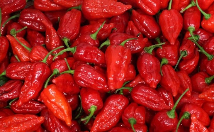 El pimiento California Reaper