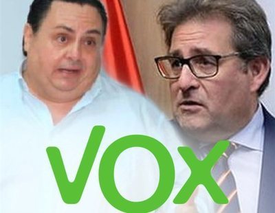 El Presidente de VOX en Las Palmas es condenado a prisión y su coordinador es cesado por amenazas