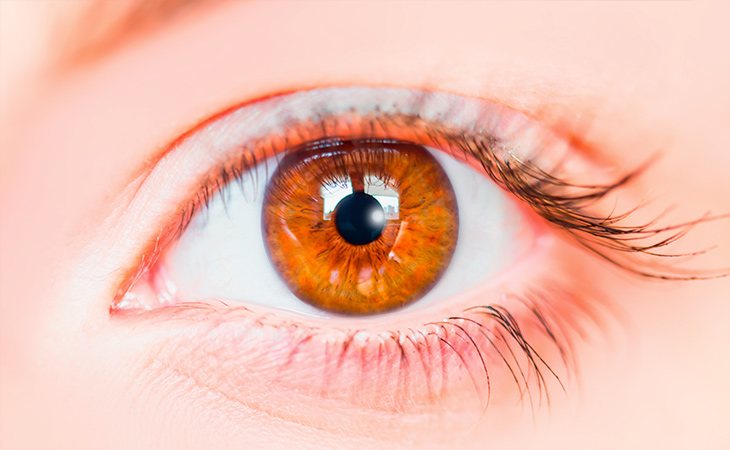 Los ojos color avellana son una mezcla de color verde y marrón