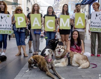 El programa electoral de PACMA: no es solo un partido animalista