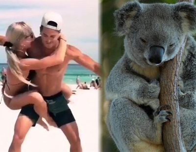 'Koala Challenge': El último reto viral que triunfa en las redes