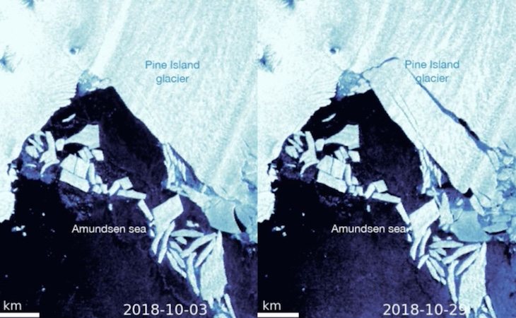 Comparativa del glaciar de la Antártida desprendido en 2018 - Cribeo