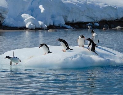 El hielo del Ártico desaparecerá en 2030