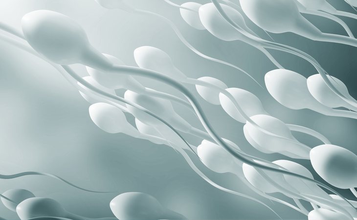 La fertilidad masculina, afectada por los productos de limpieza