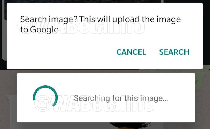 La nueva función de WhatsApp 'Buscar por imagen'
