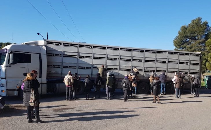 La vigilia vegana se celebra a las puertas de los mataderos