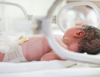Aseguran la eficacia de úteros artificiales para salvar a bebés demasiado prematuros