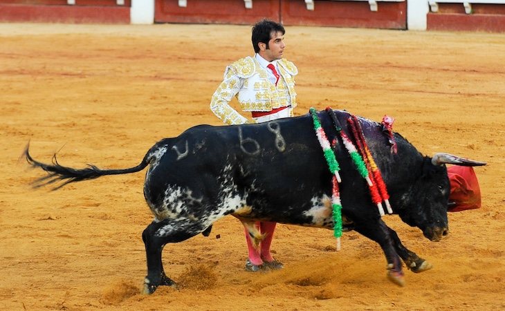 Salvador Vega, fichaje del PP