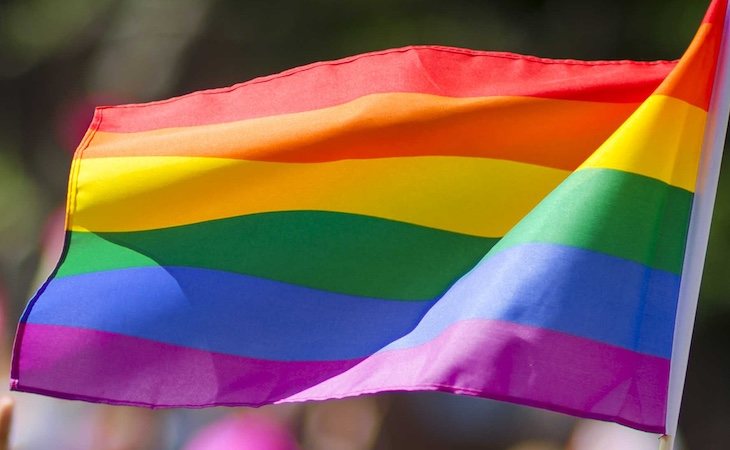 Abascal no quiere que a las personas del colectivo LGTBI se les obligue a llevar la bandera arcoíris