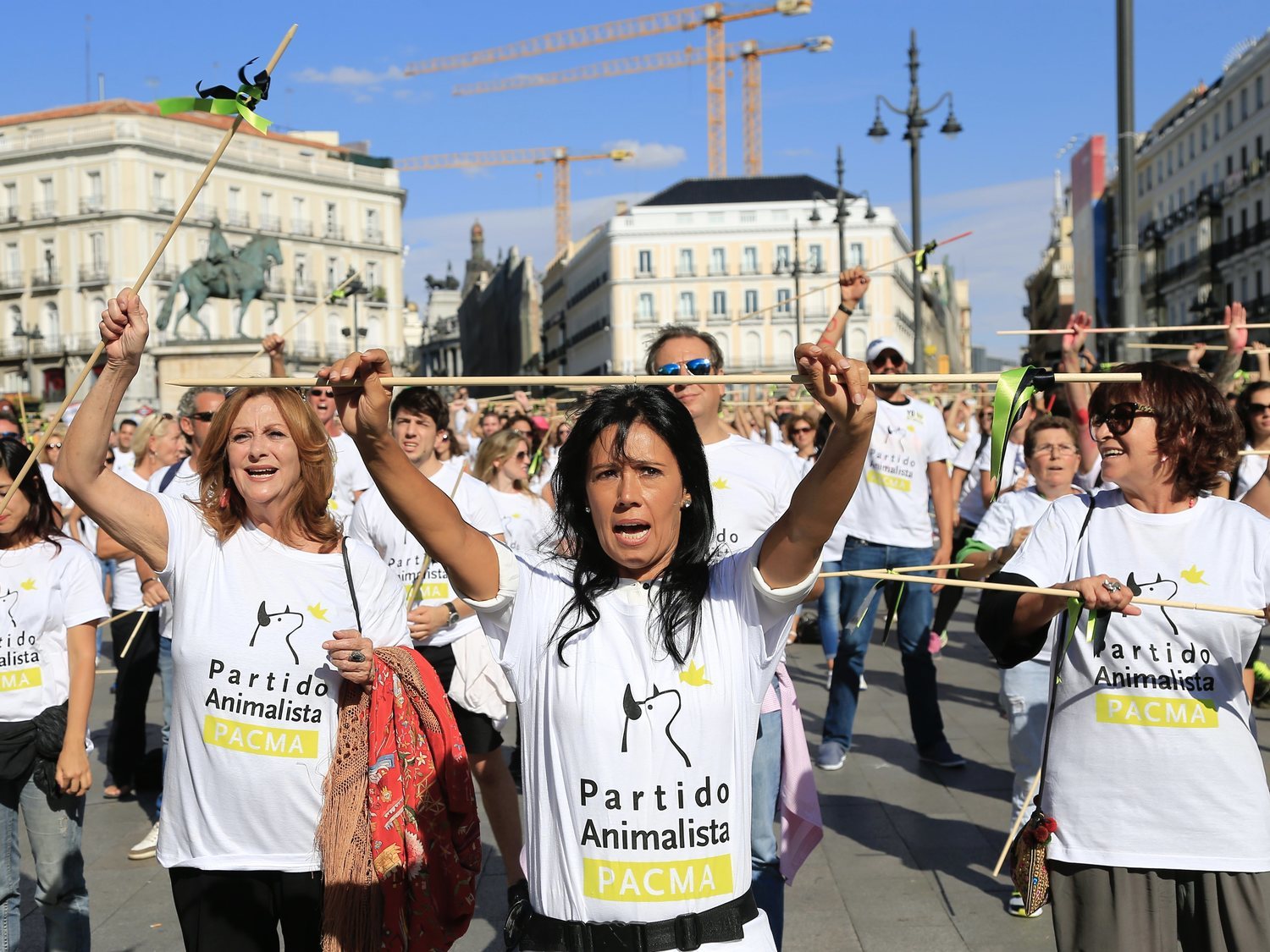 ¿PACMA está en contra del aborto? Así es el debate que se vive dentro del partido