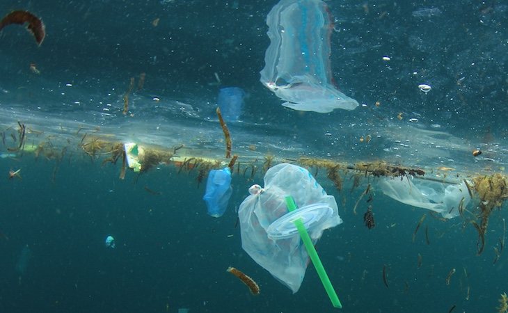 El 80% de los desechos de plástico van a parar al mar