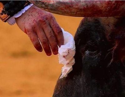 ¿Sensibilidad o sadismo? Morante le seca las lágrimas a un toro antes de matarlo