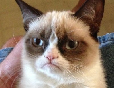 Muere Grumpy Cat, la gata más famosa de Internet