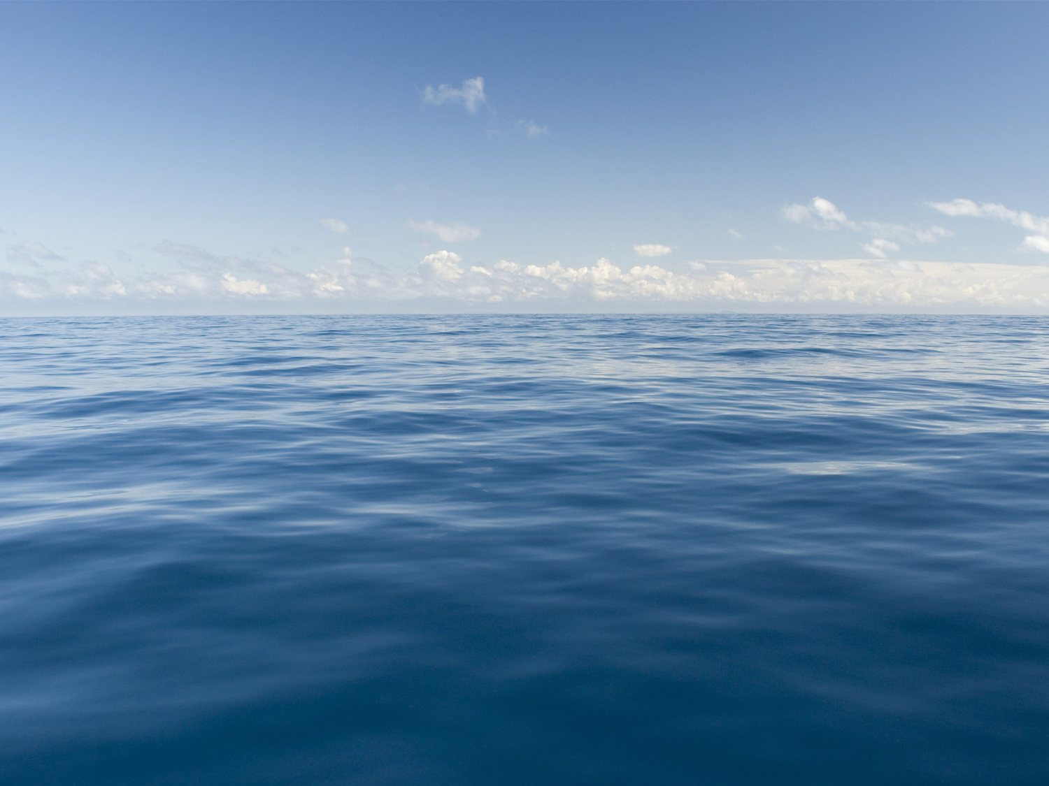 Miles de ciudades y pueblos quedarán hundidos bajo el mar antes de 2100